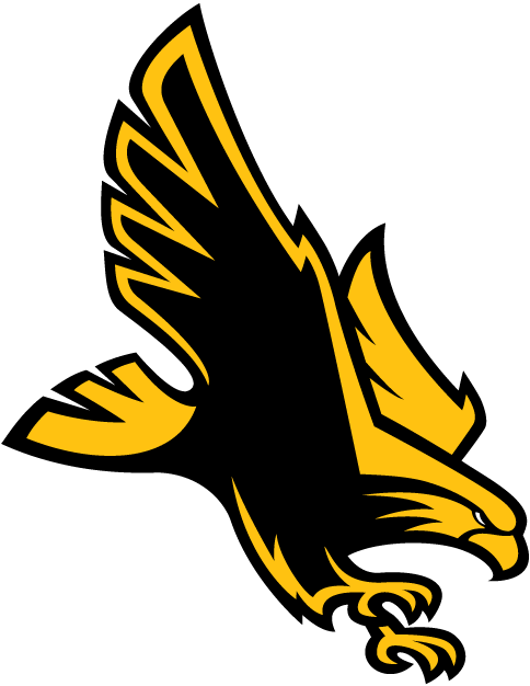 Southern Miss Golden Eagles iron ons